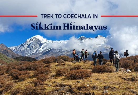 Trek to Goechala in Sikkim Himalayas